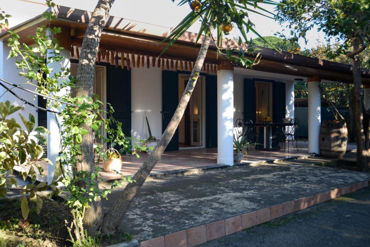 Agriturismo Piccolo Canyon Διαμέρισμα Πιάνο ντι Σορέντο Εξωτερικό φωτογραφία